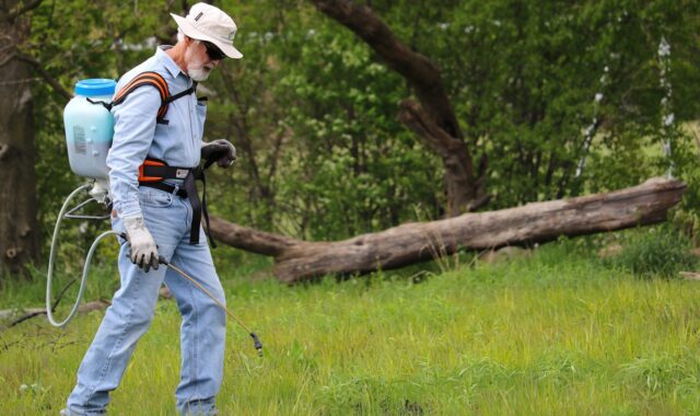grass, backpack sprayer, maintenance, worker, man, lawn, turf, field, meadow, park, nature, backpack sprayer, backpack sprayer, backpack sprayer, backpack sprayer, backpack sprayer
