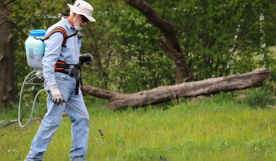 grass, backpack sprayer, maintenance, worker, man, lawn, turf, field, meadow, park, nature, backpack sprayer, backpack sprayer, backpack sprayer, backpack sprayer, backpack sprayer