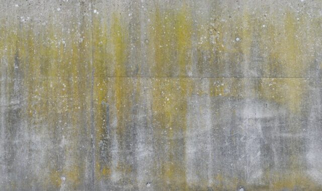 concrete wall, windows wallpaper, desktop backgrounds, 4k wallpaper, mac wallpaper, retaining wall, verdigris, weathered, wallpaper hd, concrete elements, full hd wallpaper, finished parts, exposed concrete, dirty, wallpaper 4k, cool backgrounds, 4k wallpaper 1920x1080, structure, texture, beautiful wallpaper, laptop wallpaper, background, housewall, wall, concrete, free background, template, grunge, free wallpaper, vintage, hd wallpaper, surface