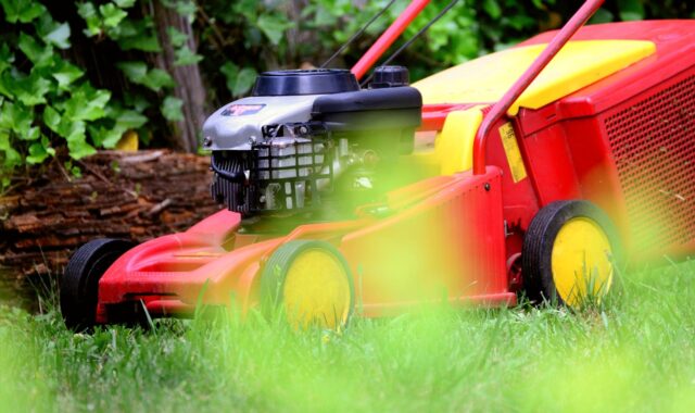 lawn mower, mow, gardening, lawn, green, garden, meadow, grass, to cut, technology, nature, garden maintenance, blades of grass, lawn mower, lawn mower, lawn mower, lawn mower, lawn mower