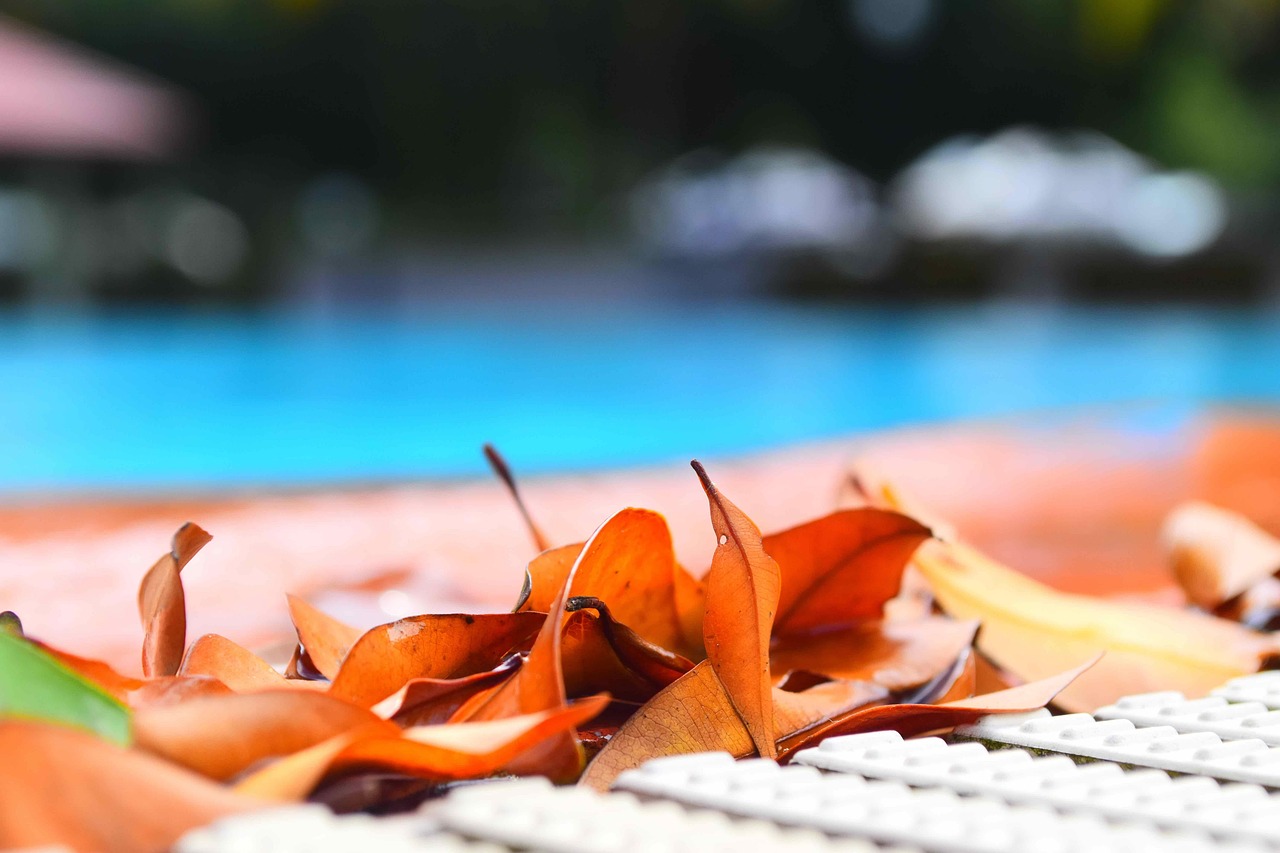 swimming pool, leaves, pool, swimming, water, nature, leaf, summer, blue, clean, maintenance, work, swim, reflection, outdoor, waves