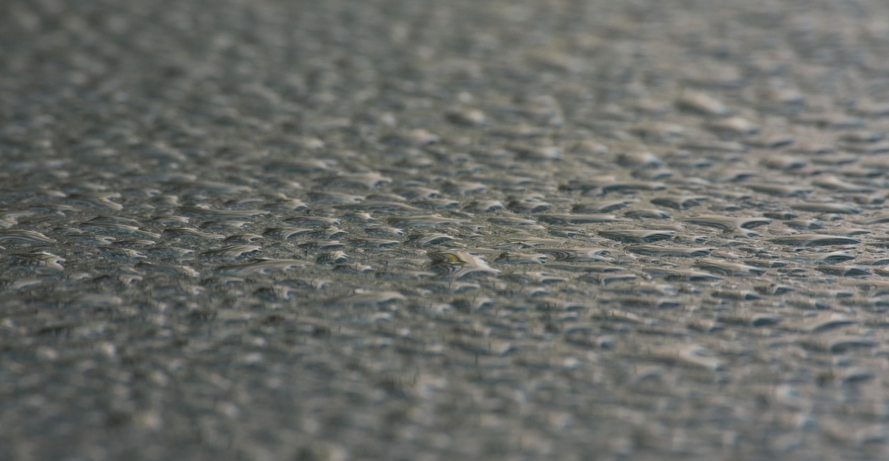 water, rainwater, glass plate, wet, drops, nature, close up, droplets, surface