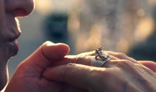 fairy tale, ring, frog prince, kiss, frog, accessory, story, dream, concept, fairy tale, ring, ring, ring, ring, ring, kiss, frog, frog, frog, frog, story, dream, dream