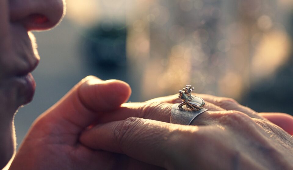 fairy tale, ring, frog prince, kiss, frog, accessory, story, dream, concept, fairy tale, ring, ring, ring, ring, ring, kiss, frog, frog, frog, frog, story, dream, dream
