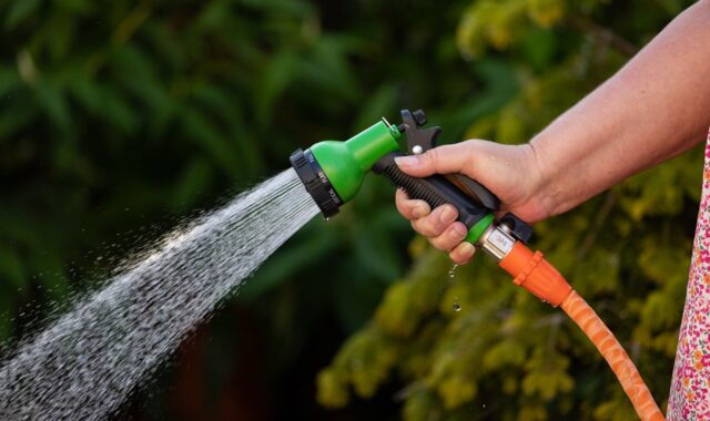 garden hose, nature, water, spray, watering, hose, hose pipe, water spray, closeup