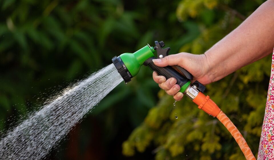garden hose, nature, water, spray, watering, hose, hose pipe, water spray, closeup