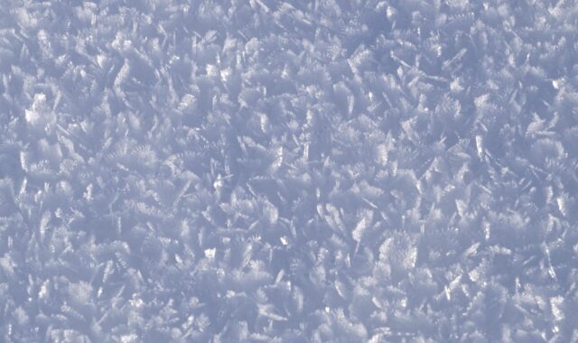 snow, flake, nature, winter, cold, january 2016