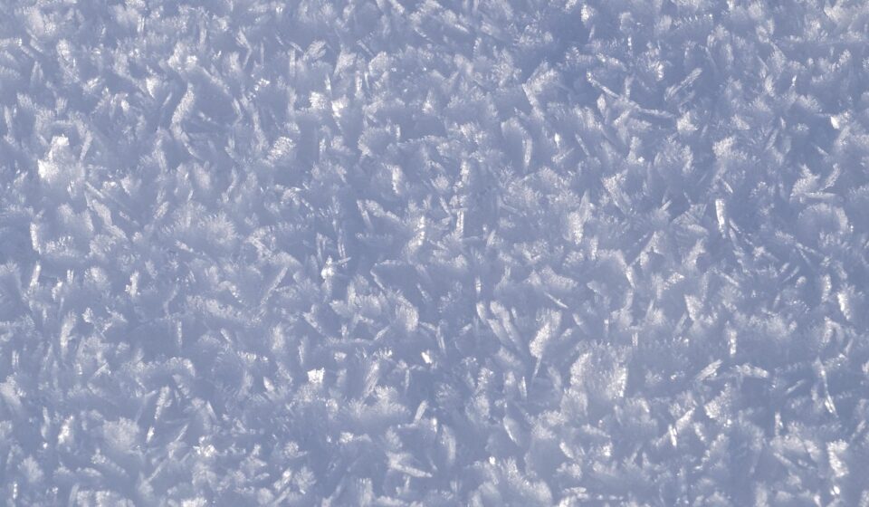 snow, flake, nature, winter, cold, january 2016