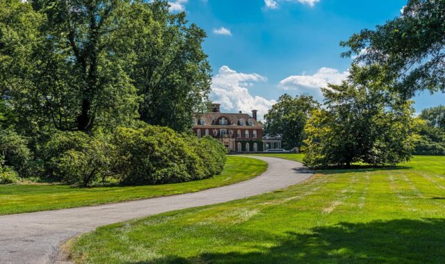 mansion, long driveway, estate, nature, trees, blue sky, summer, green sky