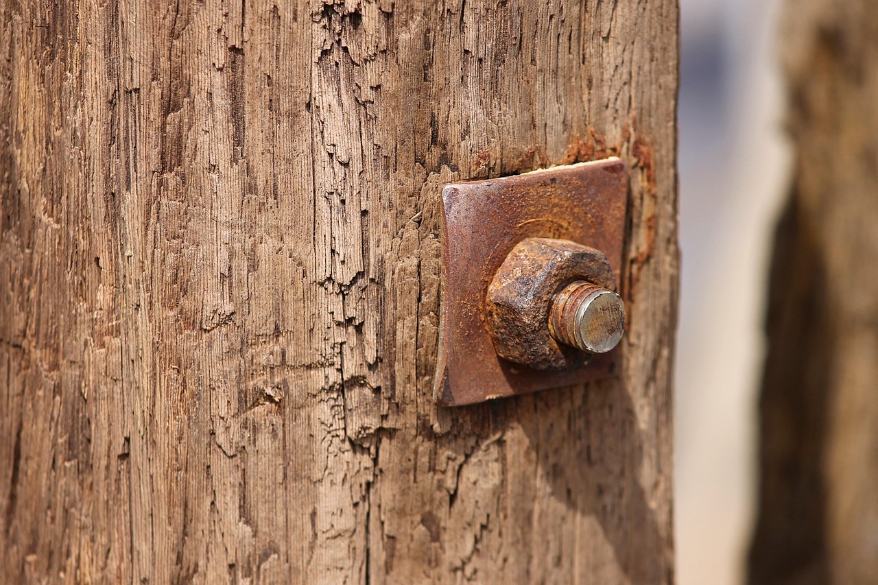 screw, rust, stake, mother, screwed, wood, screw connection, rusty, metal, old, thread, connection, rusted, weathered, fastening, corrosion