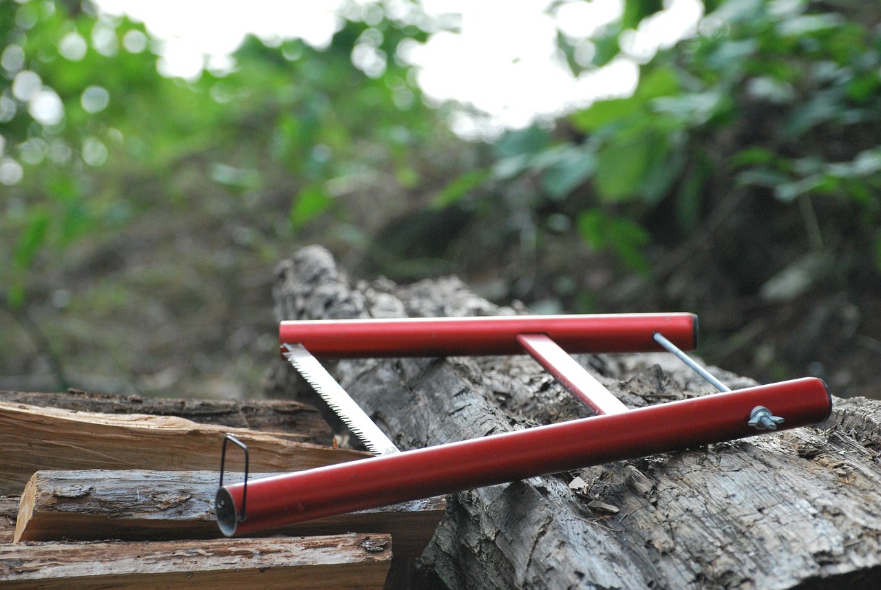 saw, sawing, wood