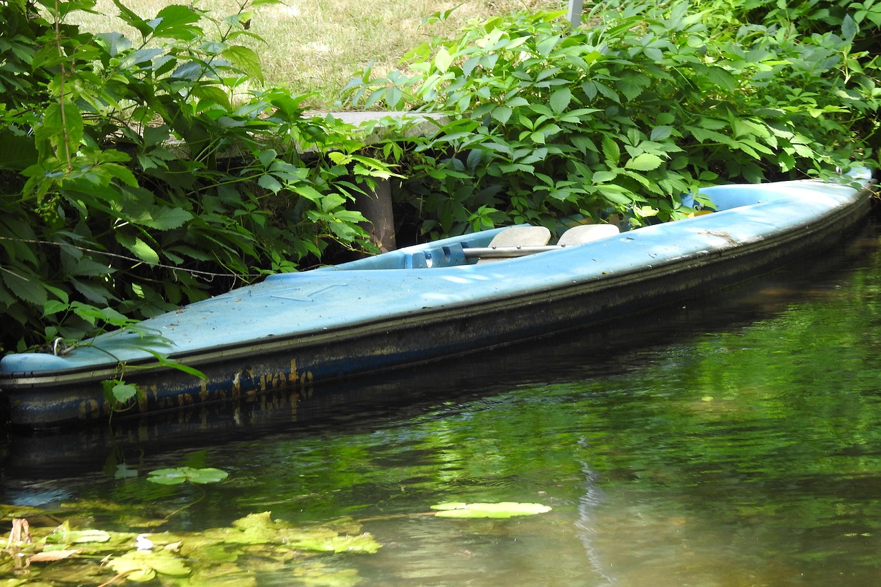 river, sprewa, riverbank, kayak, nature, canoe trip, blue, water, kayaks