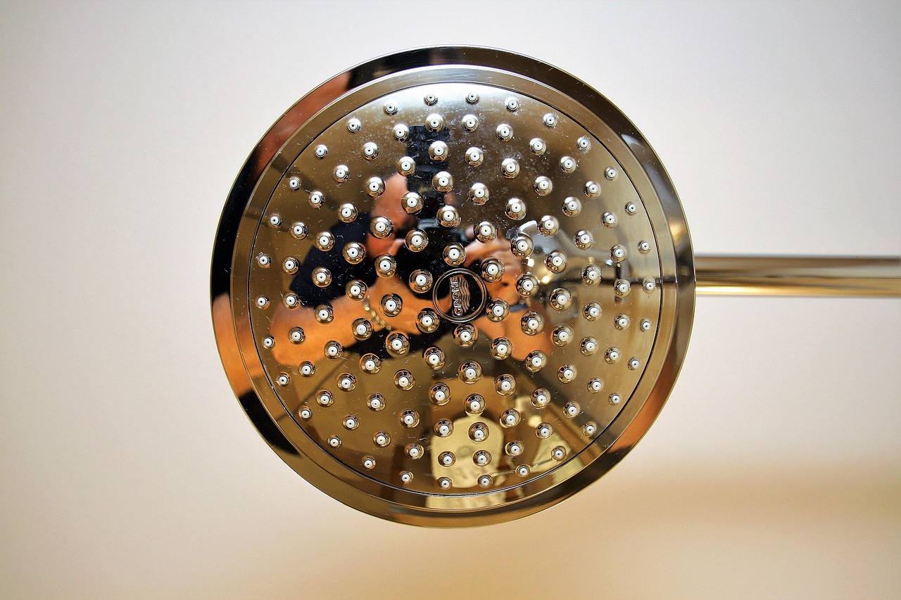 shower head, shower, bathroom, water, valve, chrome, hygiene, wash, nature, metal, silver, metallic, shower fitting, shiny, reflection